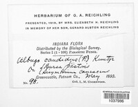 Image Associated With the Occurence